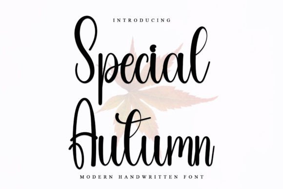Special Autumn: A Stylish Font for Elegant Branding